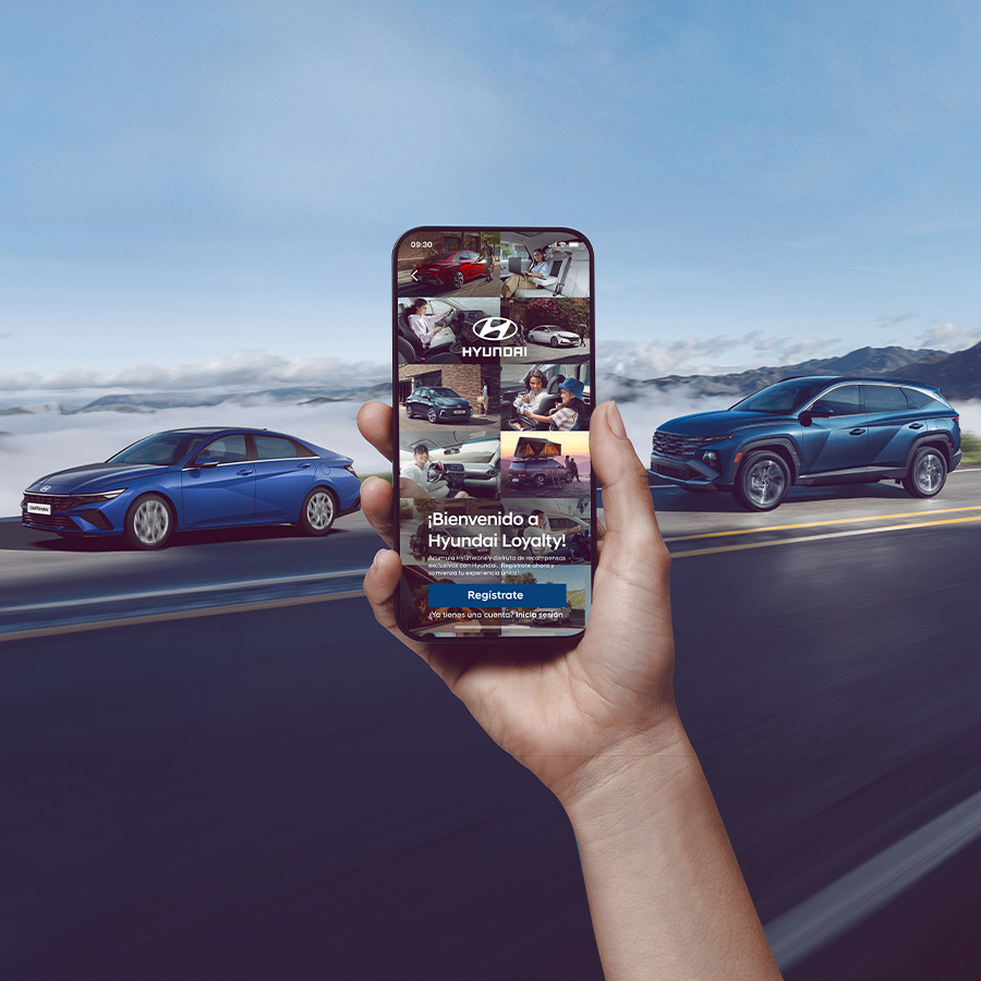 Loyalty Program