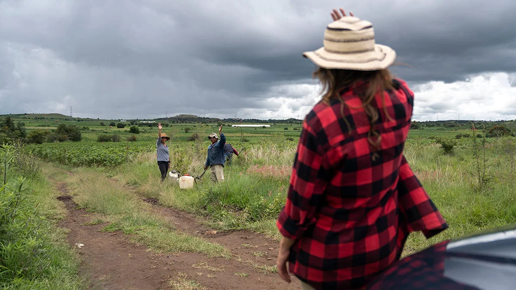 ayuda en acción Hyundai