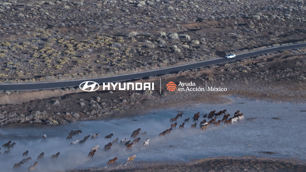 Auto Hyundai circulando por carretera cerca a una estampida de caballos