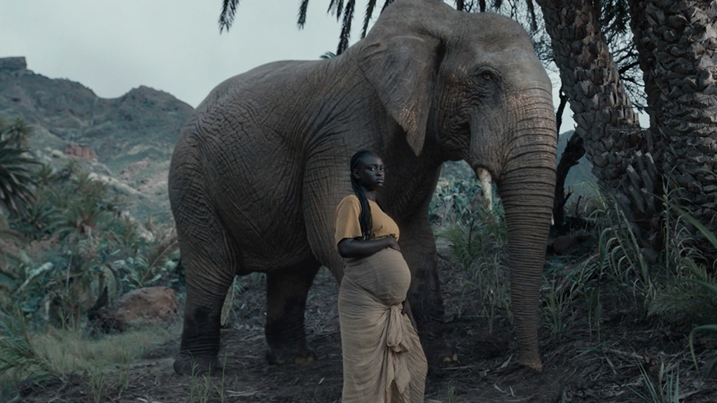 Mujer embarazada junto a un elefante en la jungla