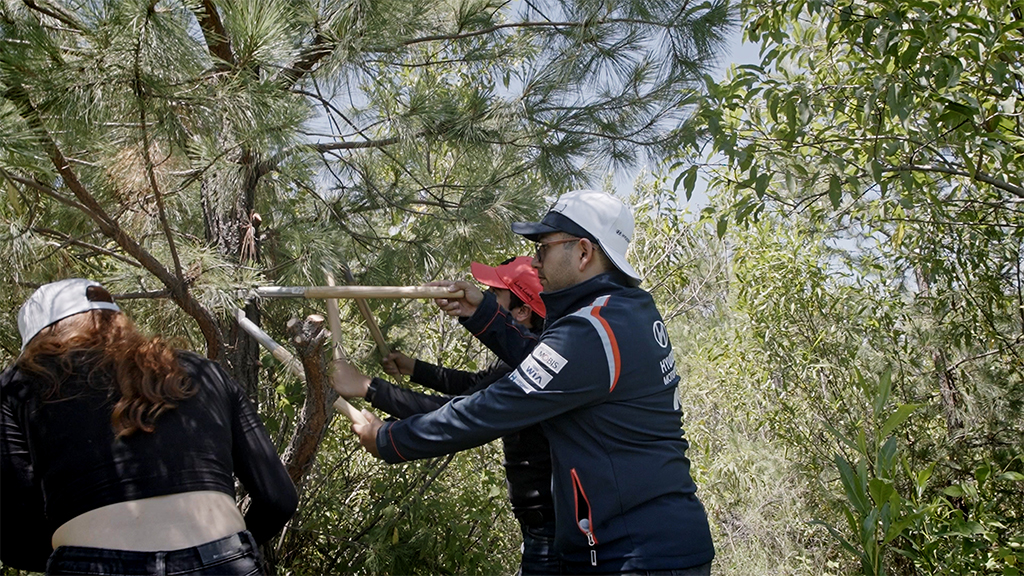 La poda y el mantenimiento adecuado de los árboles forestales Hyundai y Ayuda en Acción 