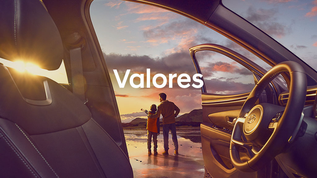 Lo que nos define son nuestros valores.