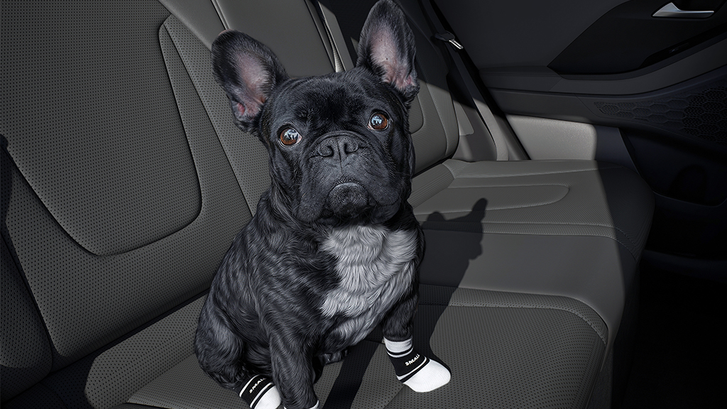 Petfriendly_1024x576_1.jpg