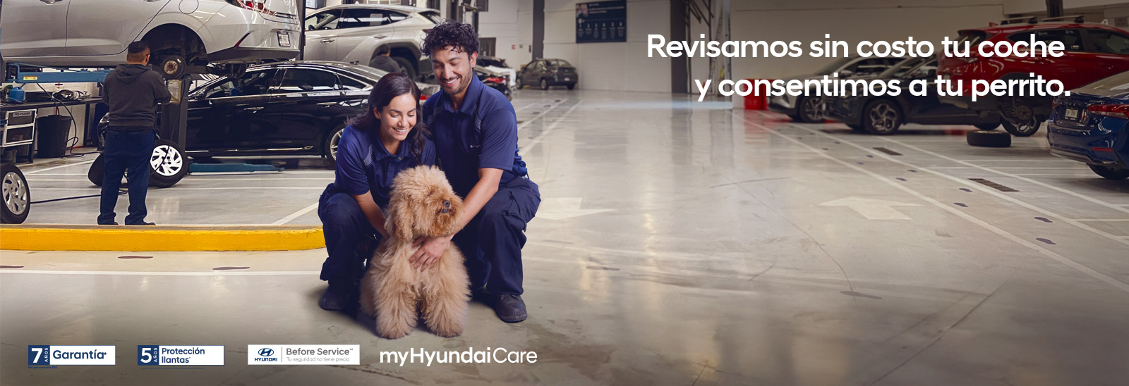 Before service Hyundai