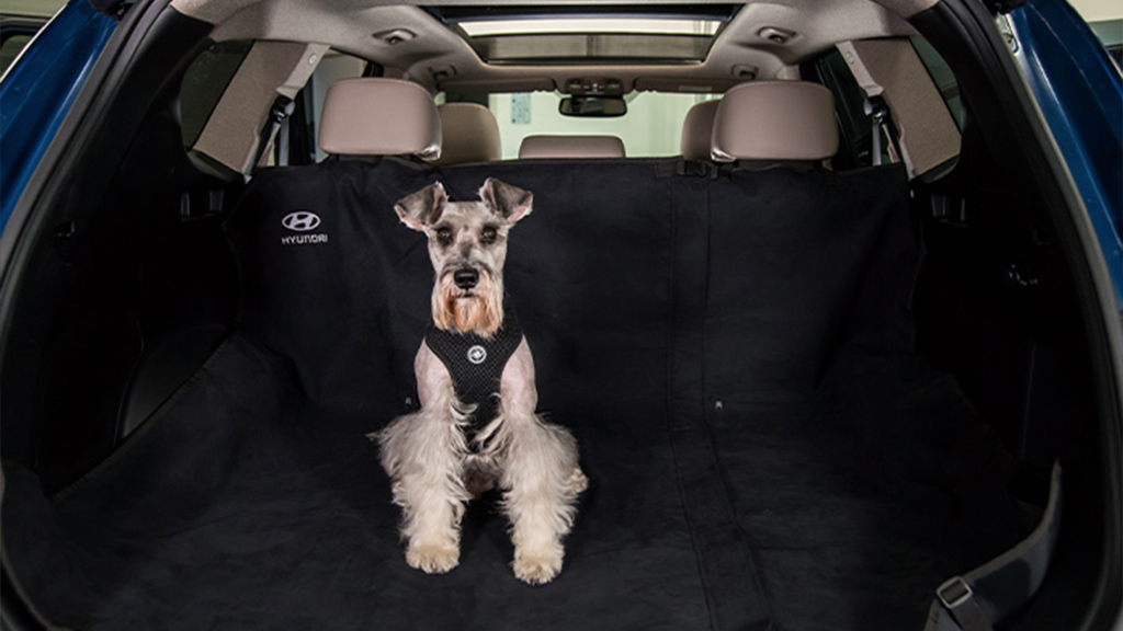 accesorios para tu mascota Hyundai
