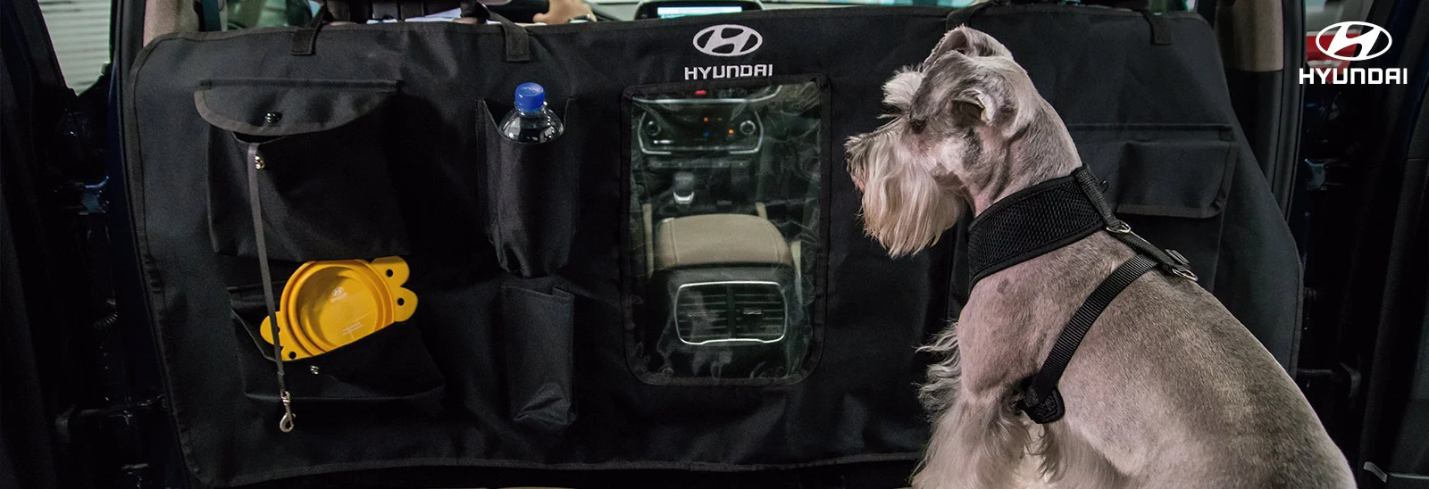 Hyundai Motors, Viajar con Mascota, Accesorios para Mascotas, Reglamento Transito